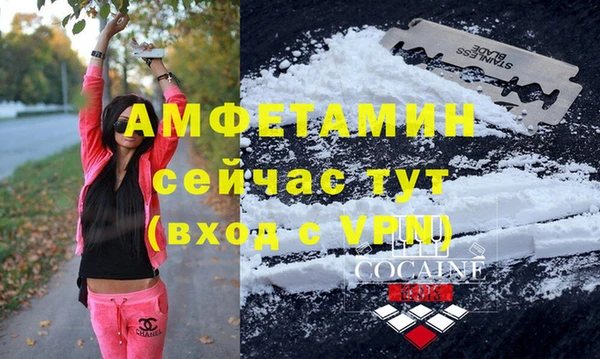 спиды Аркадак