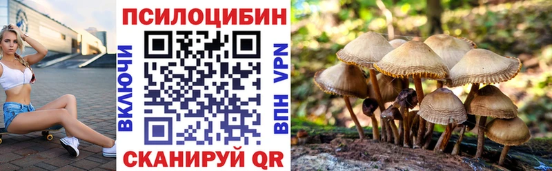 цена наркотик Пучеж darknet официальный сайт Псилоцибиновые грибы ЛСД